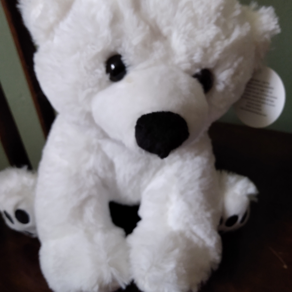 Teddy Bear